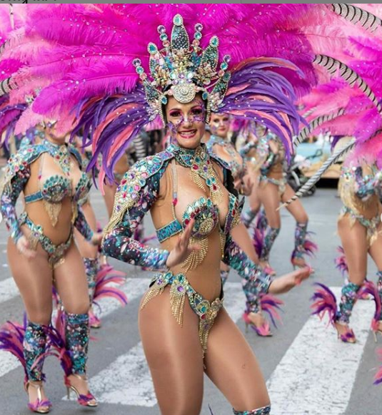 Samba Fun  Brazilian carnival costumes, Rio carnival costumes, Carnival  dancers