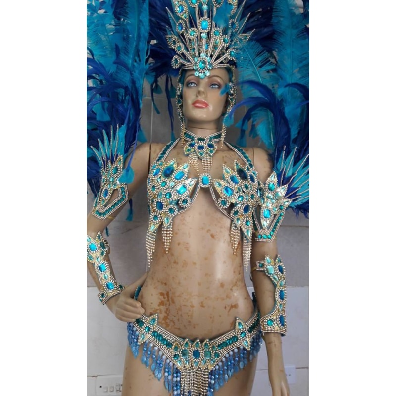 Blue Paradise Samba Complete 10 Piece Costume